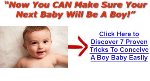 Conceiving A Boy Diet Timing